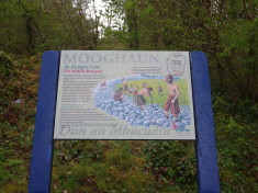 Mooghaun Biodiversity Sign